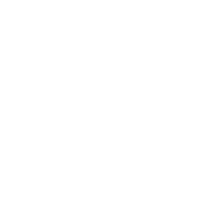 LinkedIn Icon